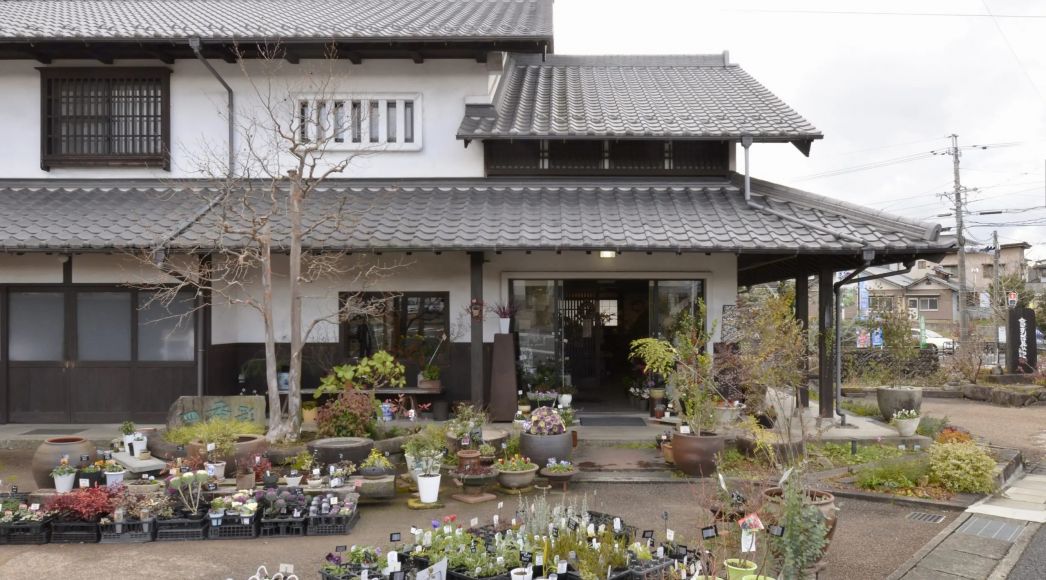 瑞浪の花屋 アイキャッチ画像