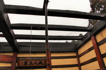 2021-11/-162-