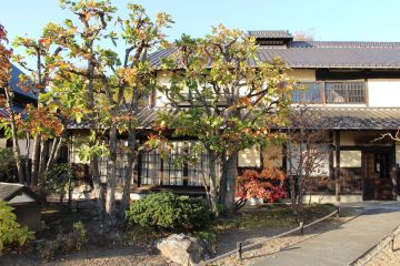 植栽の楢の木も大きくなり景観の役割を果たしています。