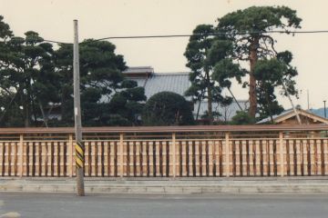 道路に面した木も塀です。