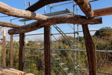 2026-04/1775372324_matu2019-12-15-18-