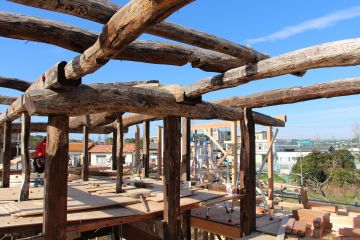 2026-04/matu2019-12-15-34-