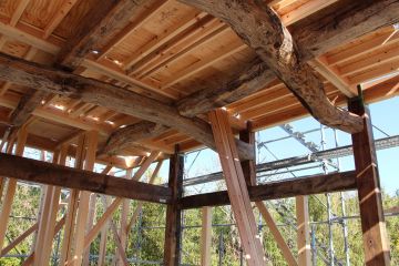 2026-04/matu2019-12-15-57-