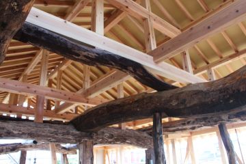 2026-04/matu2019-12-27-10-